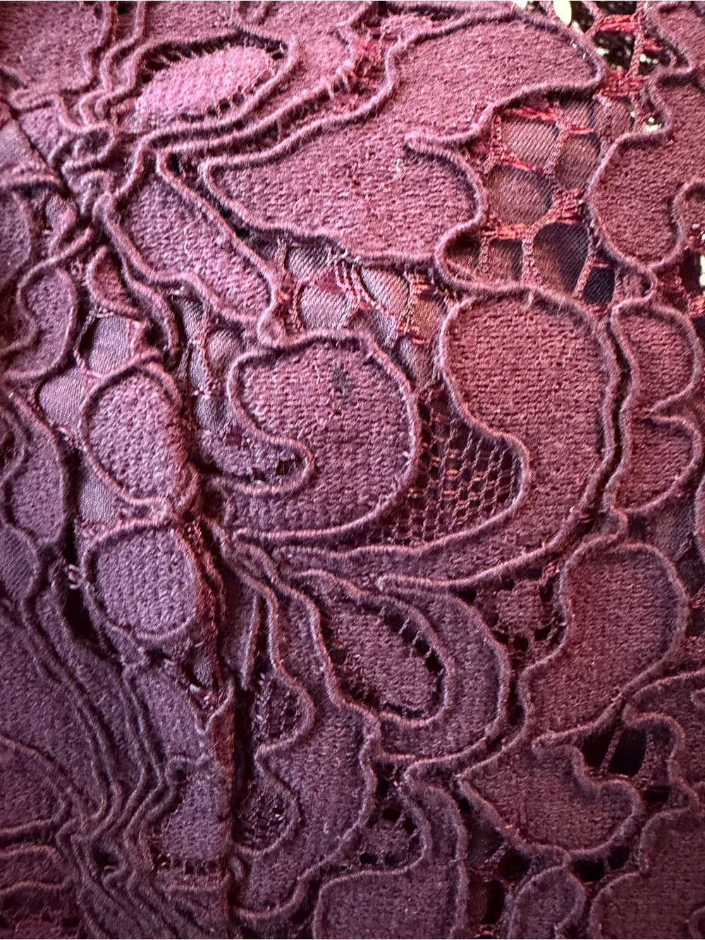 Bardot Plum Lace Midi Dress - Picture 4 of 5